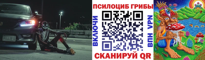 Псилоцибиновые грибы мицелий  Ленинградская 